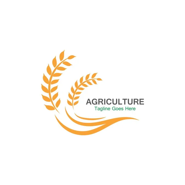 Agricultura Trigo Logo Plantilla Icono Diseño — Vector de stock