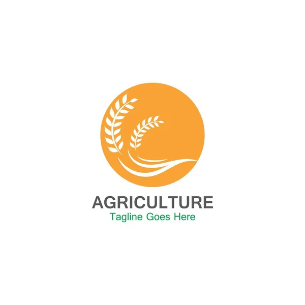 Agricultura Trigo Logo Plantilla Icono Diseño — Vector de stock