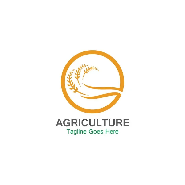 Agricultura Trigo Logo Plantilla Icono Diseño — Vector de stock