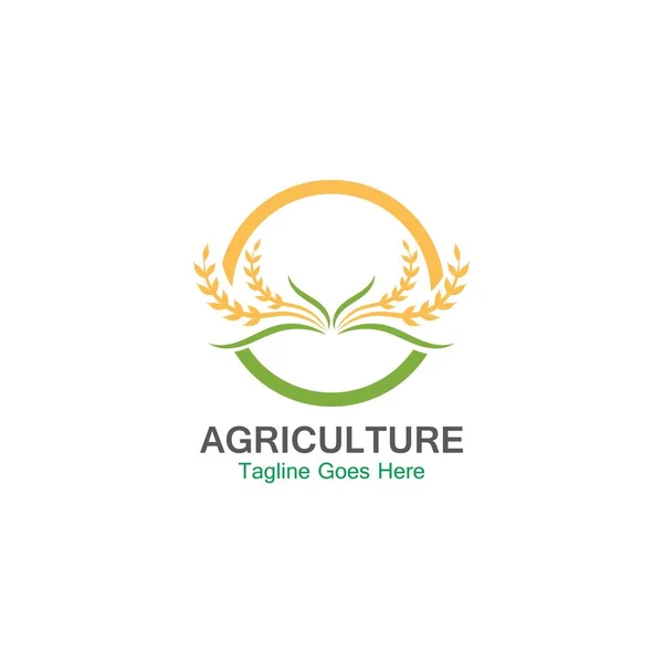 Agricultura Trigo Logo Plantilla Icono Diseño — Vector de stock