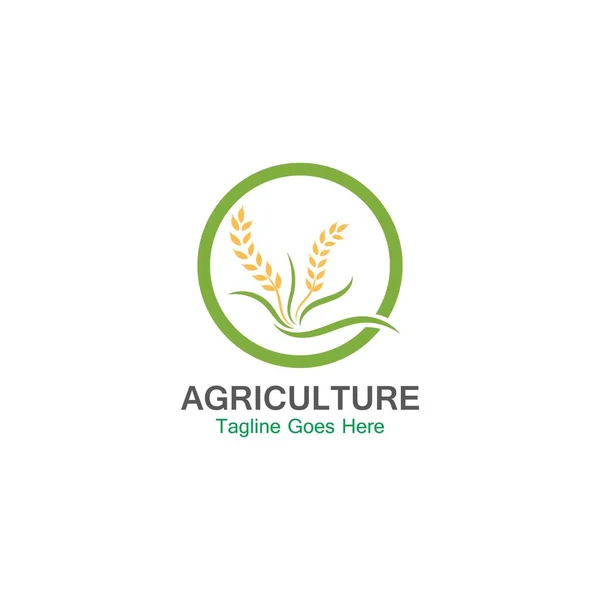 Agricultura Trigo Logo Plantilla Icono Diseño — Vector de stock
