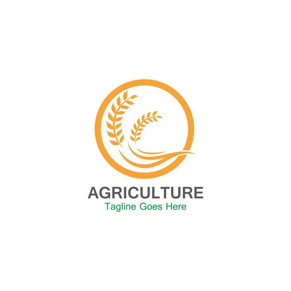 Agricultura Trigo Logo Plantilla Icono Diseño — Vector de stock