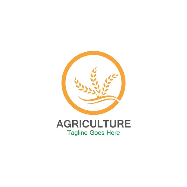 Agricultura Trigo Logo Plantilla Icono Diseño — Vector de stock