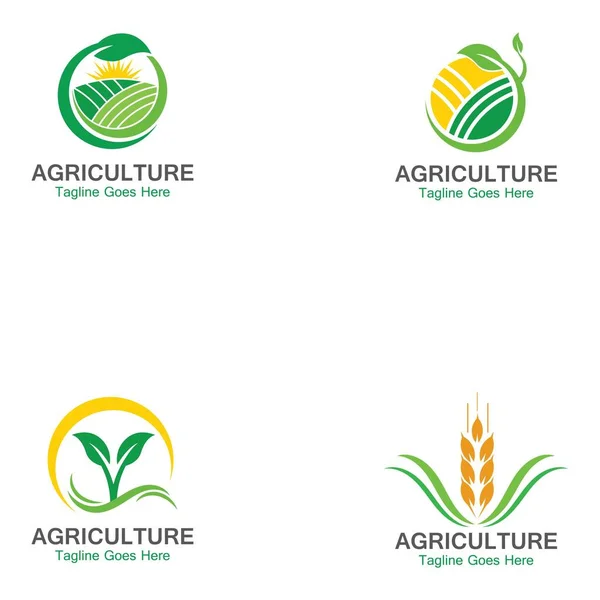 Agricultura Trigo Logo Plantilla Icono Diseño — Vector de stock