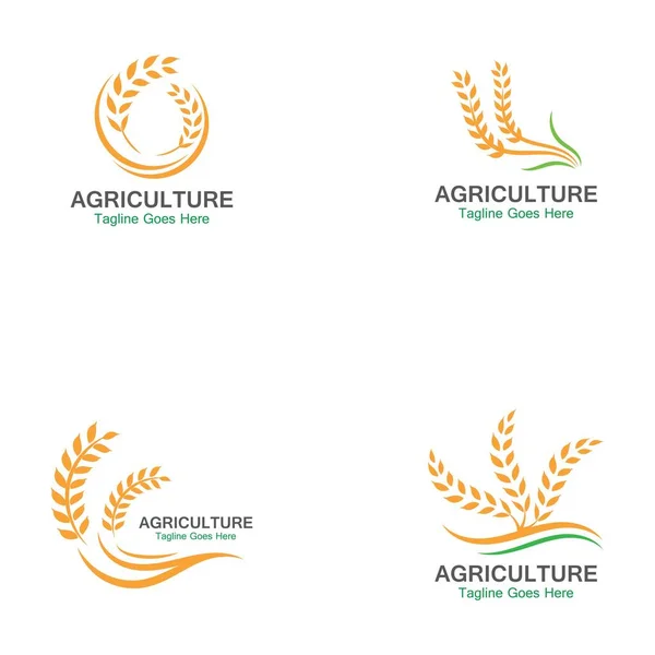 Agricultura Trigo Logo Plantilla Icono Diseño — Archivo Imágenes Vectoriales