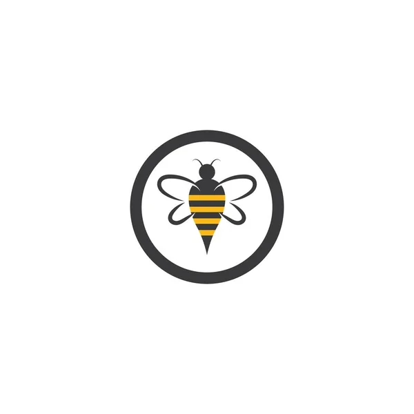 Arı Logo Şablonu Vektör Çizimi Tasarımı — Stok Vektör