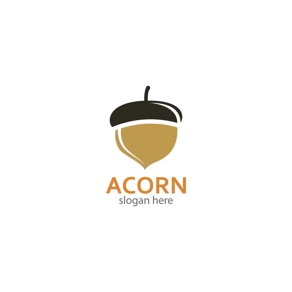 Acorn logo illustration vector template
