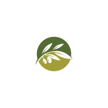 Zeytin yağı logo şablonu ikon tasarımı