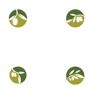 Zeytinyağı logo şablon simgesi dizaynı