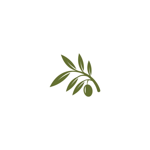 Modèle Logo Huile Olive Icône Design — Image vectorielle