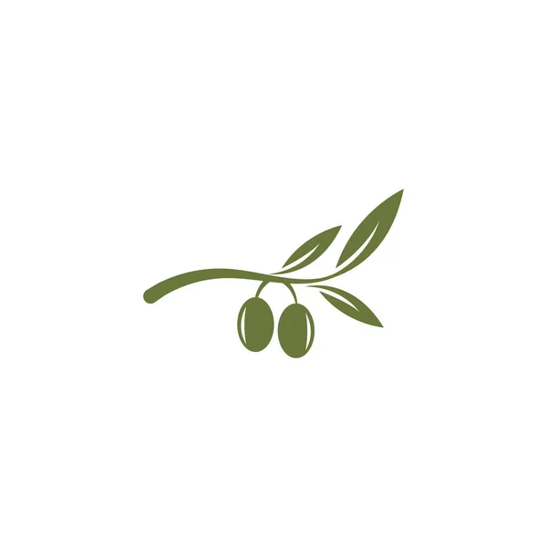 Zeytin Yağı Logo Şablonu Ikon Tasarımı — Stok Vektör