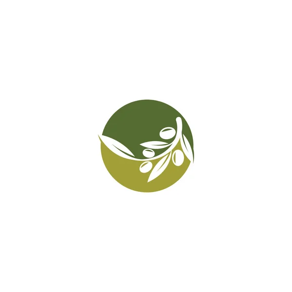 Modèle Logo Huile Olive Icône Design — Image vectorielle