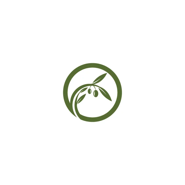 Zeytin Yağı Logo Şablonu Ikon Tasarımı — Stok Vektör