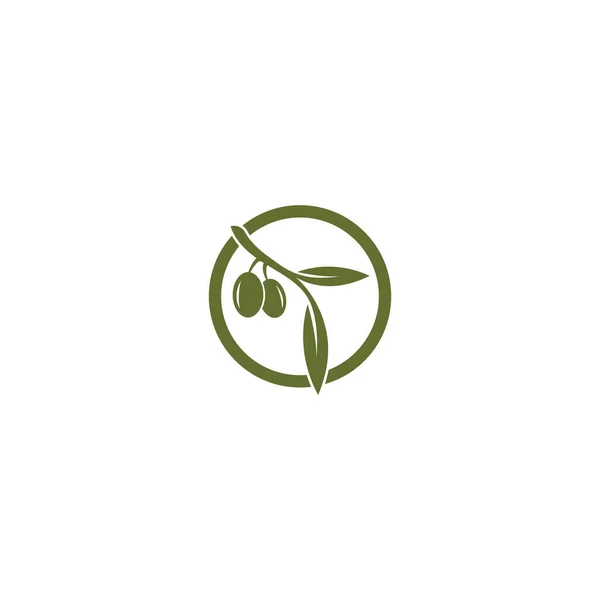 Modèle Logo Huile Olive Icône Design — Image vectorielle