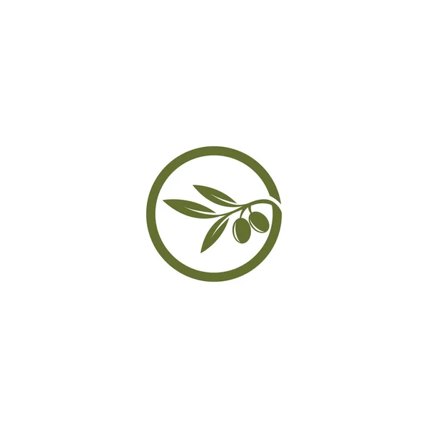 Modèle Logo Huile Olive Icône Design — Image vectorielle