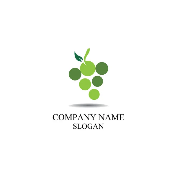 Grape Frukt Logotyp Platt Vektor Mall Ikon Illustration Design — Stock vektor