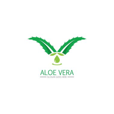 Aloe vera logosu ve sembol vektörü