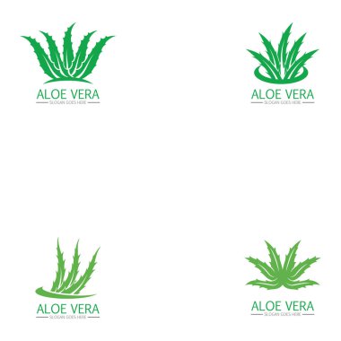 Aloe vera logosunu ve sembol vektörünü ayarla