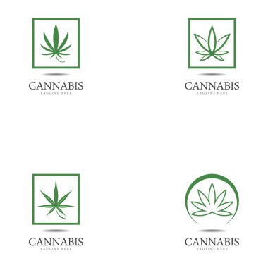 Kenevir marihuana kenevir yaprağı logosu ve sembolü.