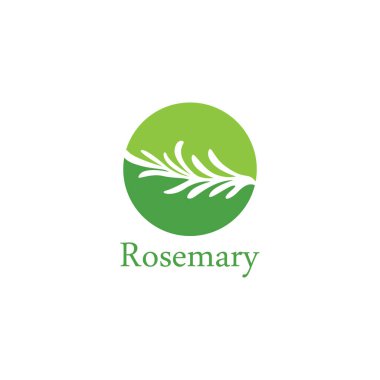 Biberiye yaprağı vektör logo örnekleme şablonu