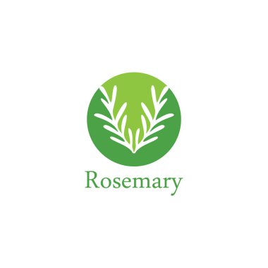 Biberiye yaprağı vektör logo örnekleme şablonu