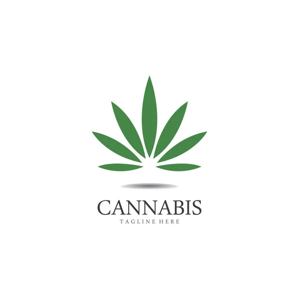 Cannabis Marijuana Hemp Leaf Logo Symbol — Stock Vector