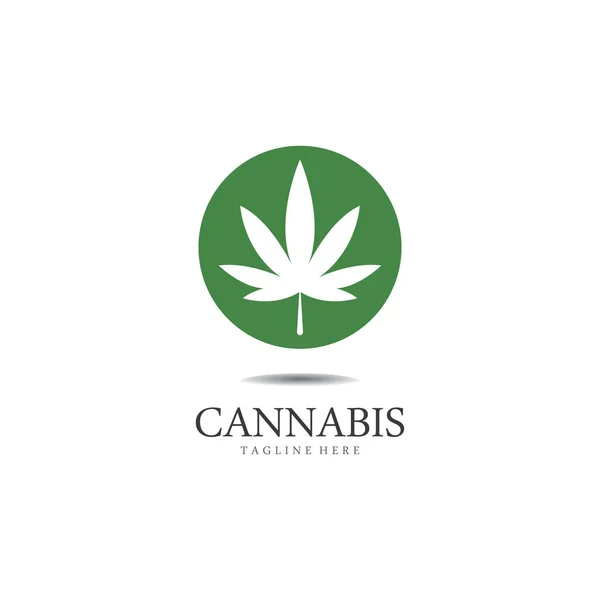 Cannabis Marijuana Hampa Blad Logotyp Och Symbol — Stock vektor