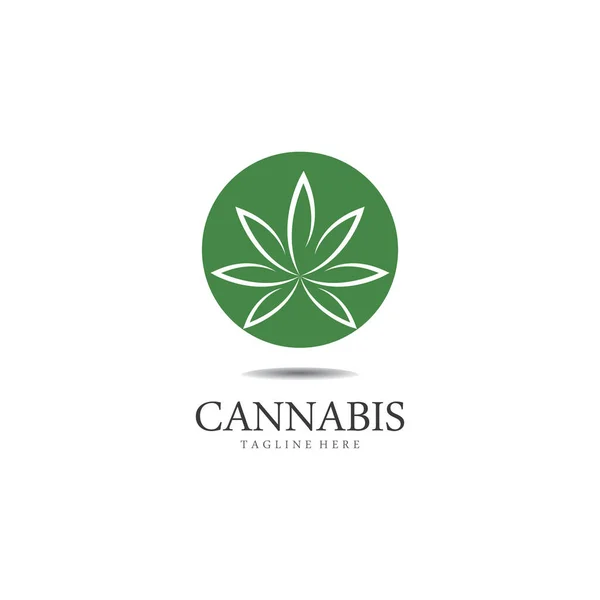 Cannabis Marijuana Hemp Leaf Logo Symbol — Stock Vector