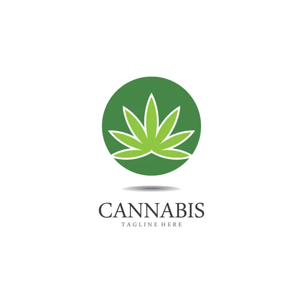 Cannabis Marihuana Hoja Cáñamo Logotipo Símbolo — Vector de stock