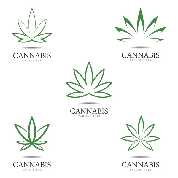 Set Cannabis Marijuana Hemp Leaf Logo Symbol — Stock Vector