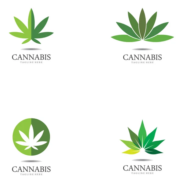Set Cannabis Marijuana Hemp Leaf Logo Symbol — Stock Vector