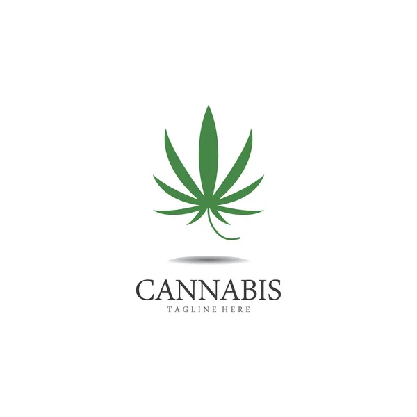 Cannabis Marijuana Hemp Leaf Logo Symbol — Stock Vector