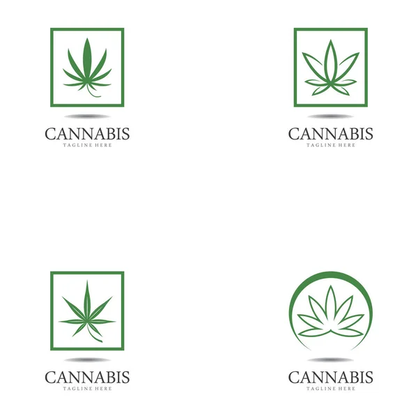 Set Cannabis Marijuana Hemp Leaf Logo Symbol — Stock Vector