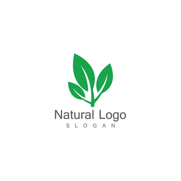 Icono Hoja Vector Diseño Ilustración Logo Plantilla — Archivo Imágenes Vectoriales