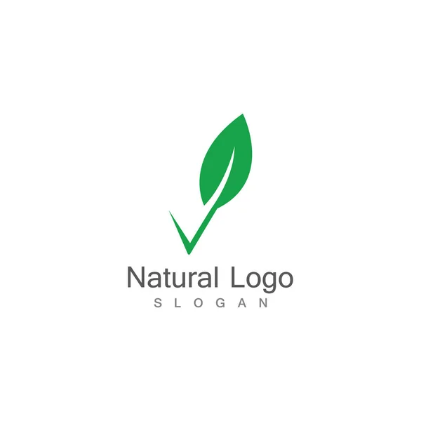 Icono Hoja Vector Diseño Ilustración Logo Plantilla — Archivo Imágenes Vectoriales