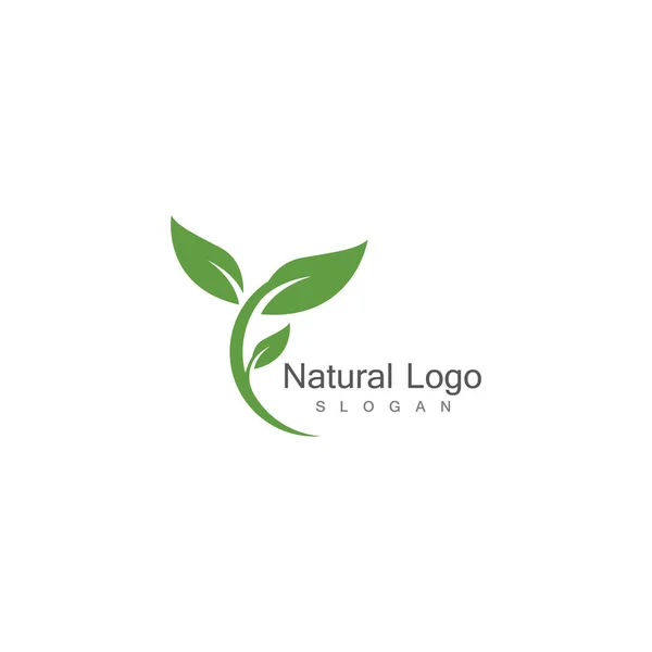 Leaf Icon Vector Illustration Design Logo Template — Stock Vector