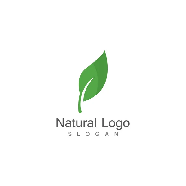 Icône Feuille Illustration Vectorielle Modèle Logo — Image vectorielle