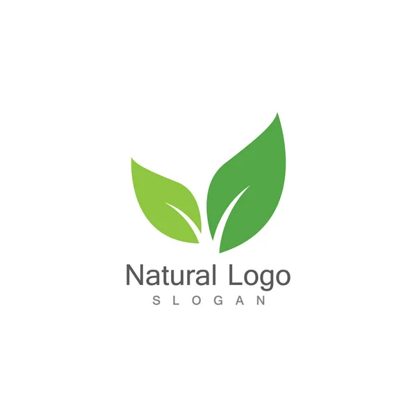 Leaf Icon Vector Illustration Design Logo Template — Stock Vector