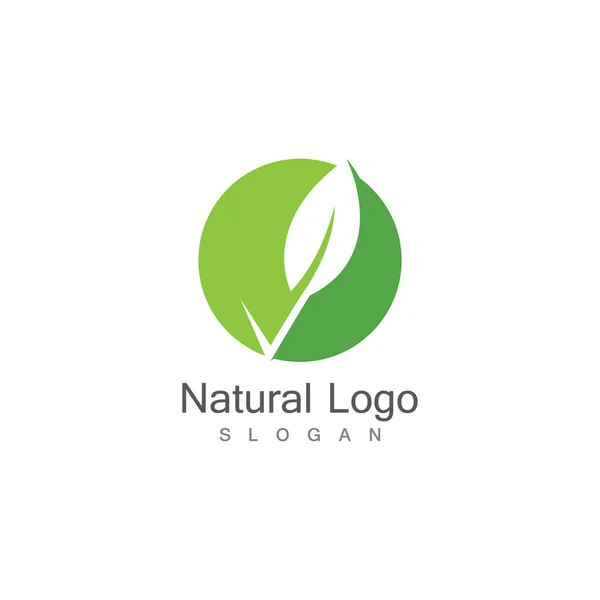 Leaf Icon Vector Illustration Design Logo Template — Stock Vector