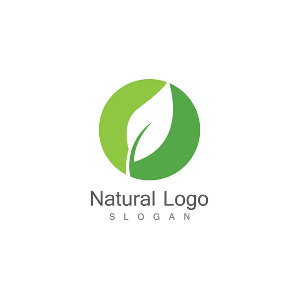 Leaf Icon Vector Illustration Design Logo Template — Stock Vector