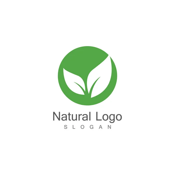 Icône Feuille Illustration Vectorielle Modèle Logo — Image vectorielle