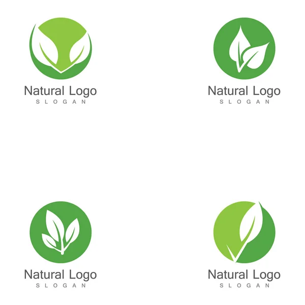 Uppsättning Blad Ikon Vektor Illustration Design Logotyp Mall — Stock vektor