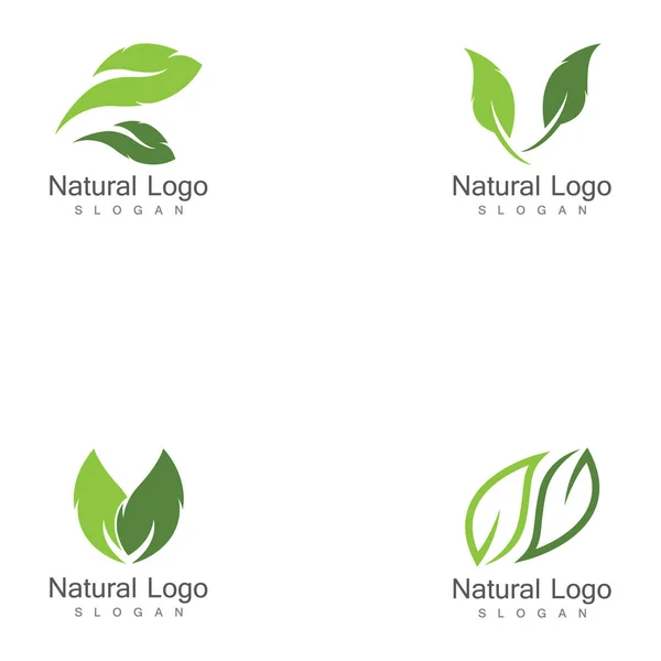 Set Leaf Icon Vector Illustration Design Logo Template — Stock Vector