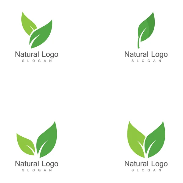 Set Von Blatt Symbol Vector Illustration Design Logo Vorlage — Stockvektor
