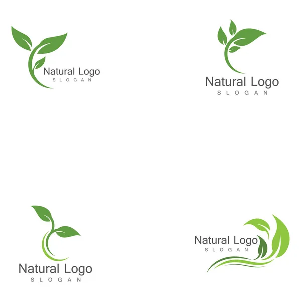 Ensemble Icône Feuille Modèle Logo Conception Illustration Vectorielle — Image vectorielle