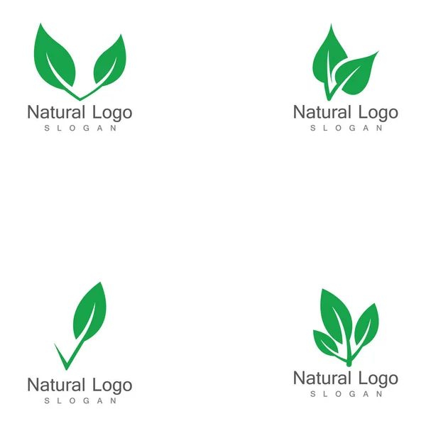 Set Leaf Icon Vector Illustration Design Logo Template — Stock Vector