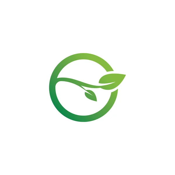 Illustration Vectorielle Feuille Verte Eco Icon — Image vectorielle