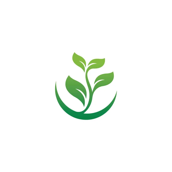 Οικολογικό Εικονίδιο Πράσινο Φύλλο Διανυσματική Απεικόνιση — Διανυσματικό Αρχείο