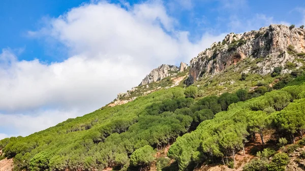 Taş Çam Ormanı Bulutlu Mavi Gökyüzü Manzaralı Dağ Manzarası Talya — Stok fotoğraf