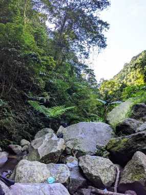 Dağların güzel manzarası
